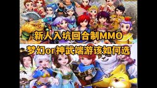 新人入坑回合制MMO，梦幻or神武该如何选