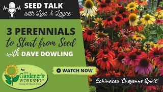 Seed Talk #33 - 3 Perennials to Start from Seed with Dave Dowling