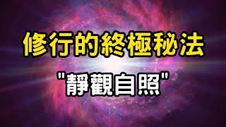 修行的終極秘法：靜觀自照，觀照才是開悟唯一出路？！修行者的心法，如何用觀照突破內心的魔障 #開悟 #覺醒 #靈性成長