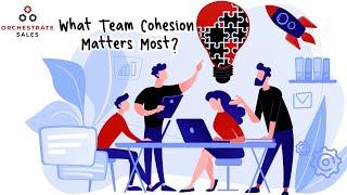 What Team Cohesion Matters Most?