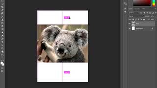 nyoto tutorial belajar tentang selections  tool basic photoshop