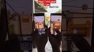 Pixel 7 Pro vs Pixel 7 Camera Comparison - Zoom Test comedy deb#youtubeshorts #trending