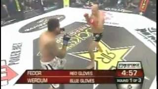 Fedor Emelianenko vs Fabricio Werdum full fight.flv