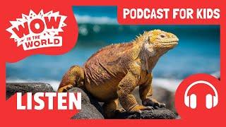 Can LIZARDS fall in LOVE? ️ | PODCAST FOR KIDS  | Wow in the World (Full Episode)