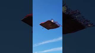 aladdin's rc flying carpet
