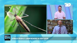 Nga rozmarina, tek limoni dhe uthulla e mollës për të larguar mushkonjat – Shqipëria Live