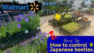 Walmart  Inventory & Clearance Plants Pt. 3. (How to get rid of Japanese 🪲 Beetles).
