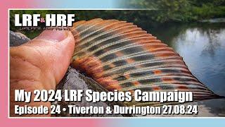 Episode 24: My 2024 LRF Species Hunt - Tiverton & Durrington