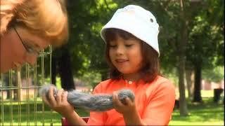 This Is Emily Yeung Learning About Rabbits.