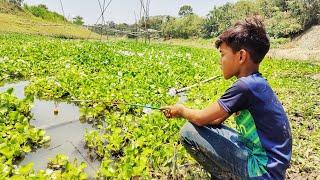 Hook Fishing ~ Traditional Hook Fishing ~ Fish King Bd