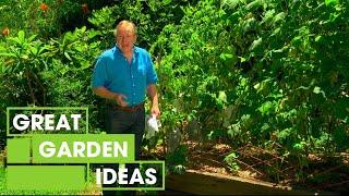 Tips To Get Your Garden Ready For Autumn | Gardening | Great Home Ideas