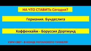 Программа для ставок на футбол / Германия Бундеслига Хоффенхайм Боруссия Д /Прогноз на тотал больше