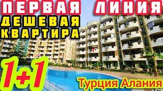 ПЕРВАЯ ЛИНИЯ ОЧЕНЬ ДЕШЕВО квартира в Алании НА МОРЕ недвижимость в Турции