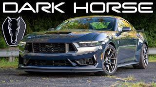 Living With A $80,000 Ford Mustang Dark Horse!!