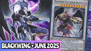 BEST! Blackwing Deck Profile! JUNE 2025!