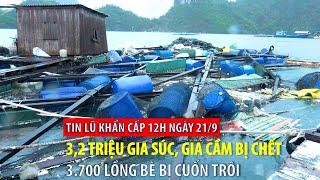 Tin lũ khẩn cấp 12h ngày 21/9: 3,2 triệu gia súc, gia cầm bị chết, 3.700 lồng bè bị cuốn trôi