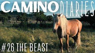 The Beast: Camino Diaries #26