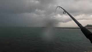 South Jetty, Venice Florida 8/19/20