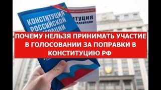 Почему нельзя принимать участие в голосовании за Конституцию РФ