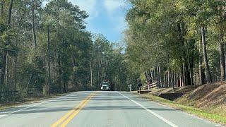 Small Town Of Scotland, Florida - Scenic Forest Of The Florida Panhandle 