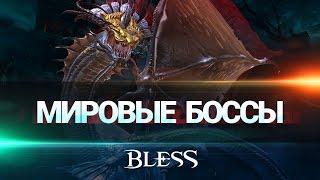 Bless — Облет мировых боссов