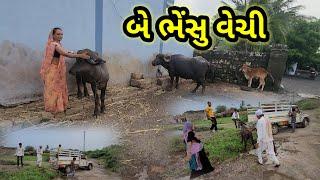 બે ભેંસુ વેયચિયુ || Village life