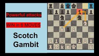 Win in 6 moves | How to play the Scotch Gambit