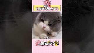 貓咪：再也不出去玩了 #貓咪 #貓咪日常 #萌寵  #養貓人 #搞笑