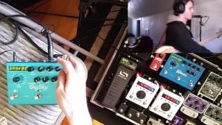Strymon BigSky Demo (Bass Effects Review)
