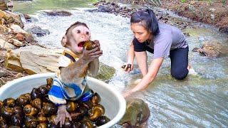 Super funny cute! Watch Mimi the monkey help mom catch snails!