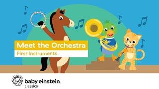 Musical Instrumentals For Kids to Know | Meet The Orchestra: First Instruments | Baby Einstein