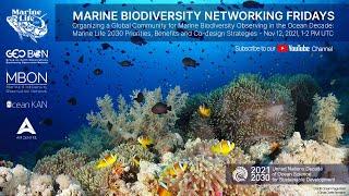 Marine Biodiversity Networking Fridays