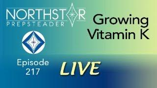 Growing VITAMIN K in Your GARDEN! • NORTHSTAR Live! Ep. 217