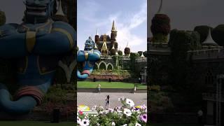 DUBAI | MIRACLE GARDEN IN DESERT #shorts #youtubeshorts #short