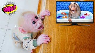 Baby monkey Poki talks to a monkey on TV and asks his Mom for help