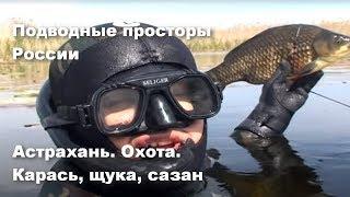 Астрахань. Охота. Карась, щука, сазан | Подводные просторы России