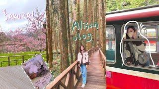 VLOG嘉義 | 不開車行程2天1夜遊阿里山. 看日出.賞櫻花