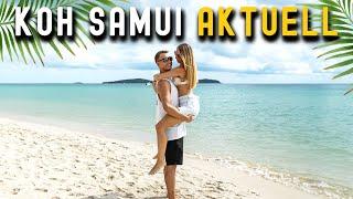 Aktuelle Lage KOH SAMUI Thailand • Februar 2024 • Chaweng, Bophut & Lamai | VLOG 616