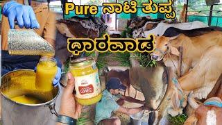 150 ದೇಸಿ ಹಸುಗಳಿಂದ Pure ನಾಟಿ ತುಪ್ಪ ಬಸವ ಗೋಶಾಲೆ ಧಾರವಾಡ | Desi Cow Ghee