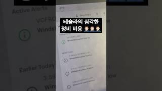 너무 심각하잖아 ‍️‍️ #테슬라