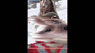 강태윤
