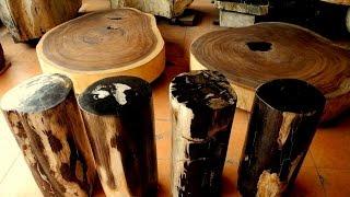 Petrified Wood Manufacture