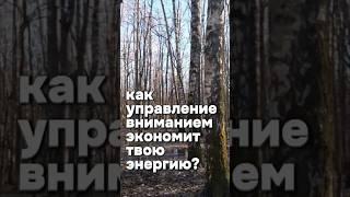 Как управление своим вниманием экономит твою энергию?