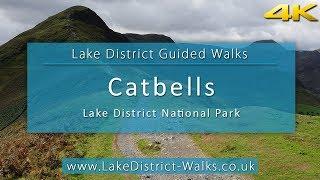 Lake District Guided Walks: Cat Bells