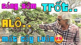 Trốt TP hoàng anh mộc sáng sớm tại chợ Cây Long Biên