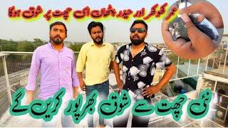 Umer Khokhar nayi chat say shok || Khokhar pigeons club || khokhar pigeon club  || pigeons online