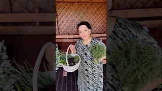 ОГОРОДИК АРУСИ КАВКАЗ! С ДНЁМ РОССИИ! #арусякавказ #арускавказ #спраздником #огородик #цитрон