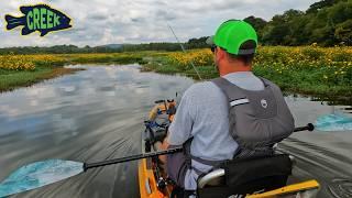 Fishing Backwater Creeks and Swamps on Guntersville