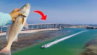 What you SHOULD be using to catch MORE fish!! Corpus Christi Fishing