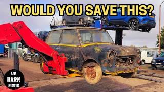 Field Find Minis | Would You Save Them? Barn Find Cars For Sale